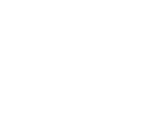 Dynamic Yomi Films